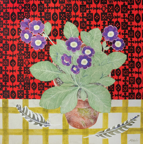 Auricula with Japanese Paper