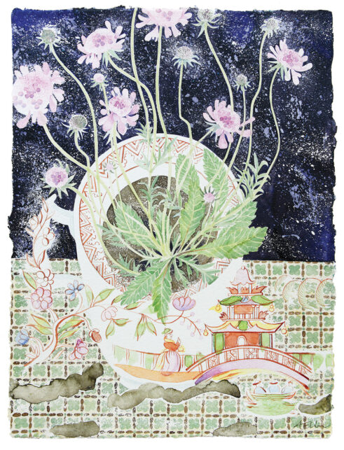 China Cup with Pink Scabious