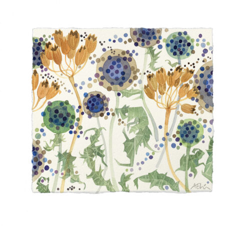 Echinops and Primula