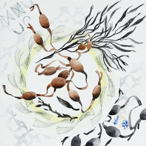 Garden Plate with Seaweed
