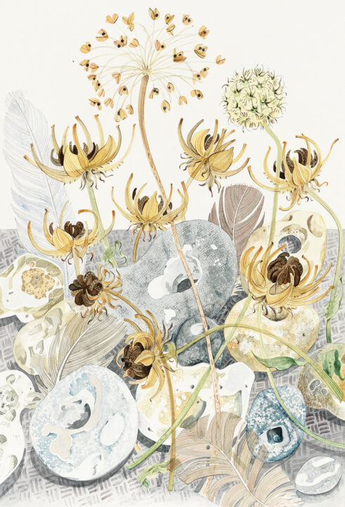 Seedheads and Hagstones