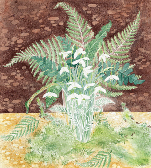 Snowdrops and Ferns