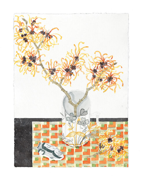 Witch Hazel with Lowestoft Cup