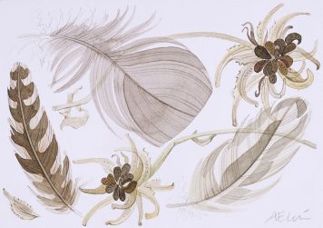 Calendula and Feathers