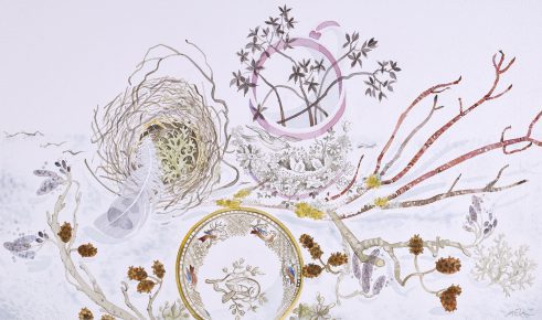 Birds, Nests and Spey Catkins