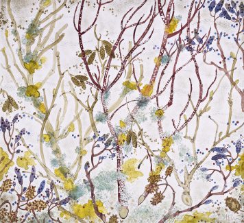 Spey Lichen with Catkins