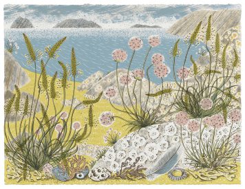 Summer Shore