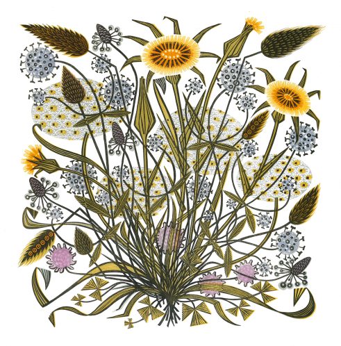 Goat’s Beard and Grasses