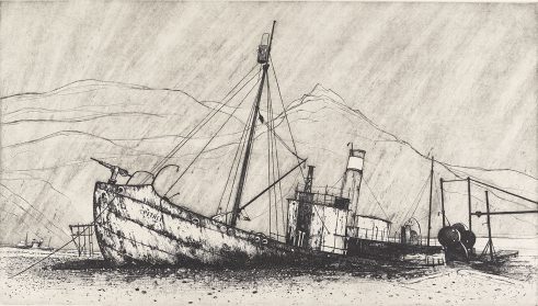 Petrel, South Georgia