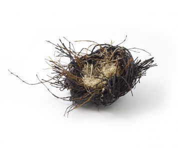 Medium Birch Nest