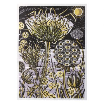 Spanish Seedheads