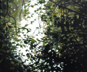 Overhanging Branches, 2016