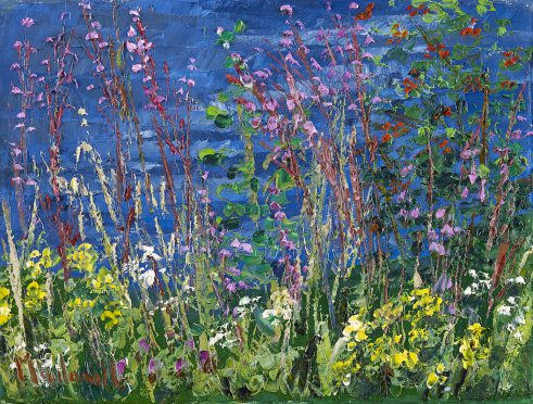 Rosebay Willowherb on Canal Bank
