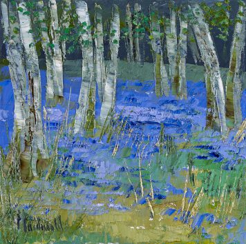 Bluebell Wood, Poltalloch