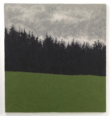 Forest With New Green