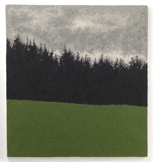 Forest With New Green