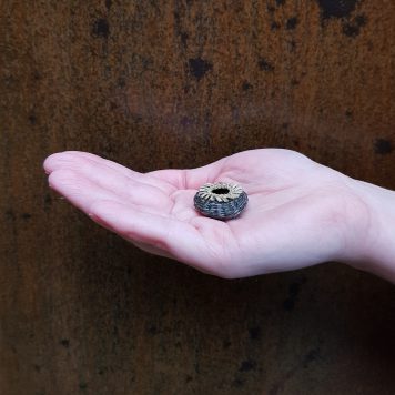 Black Sea Urchin Fine Rush Basket by Rosie Farey
