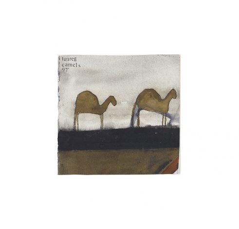 Tuareg Camels
