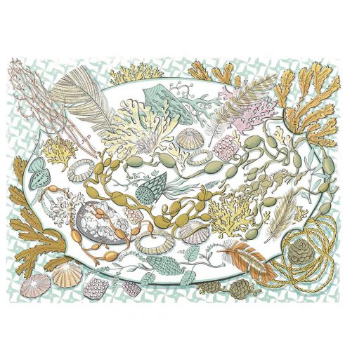 Shell, Seaweed and Feather