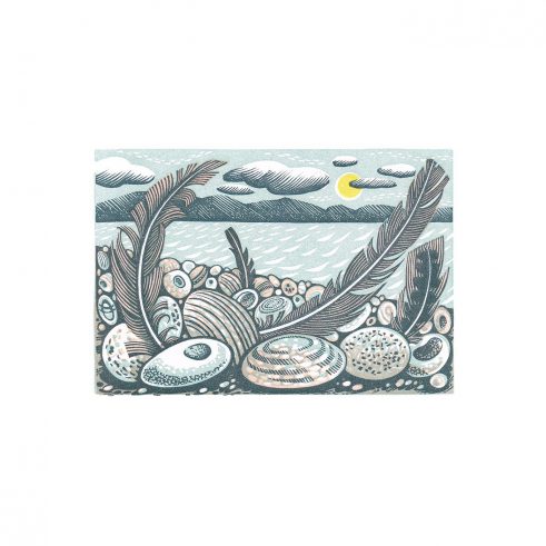 Tideline Feathers