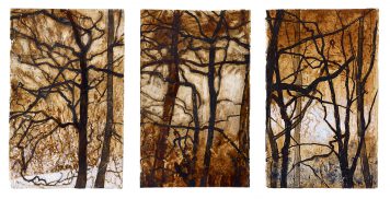 Winter Tree Studies, group of three