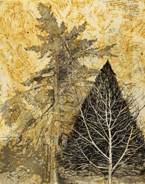 Solstice Trees and Ice