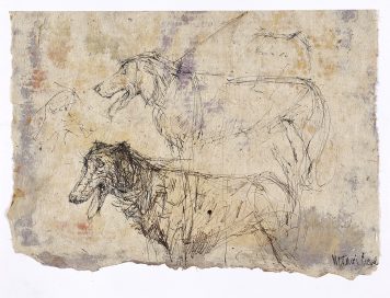 Dogs, La Giudecca