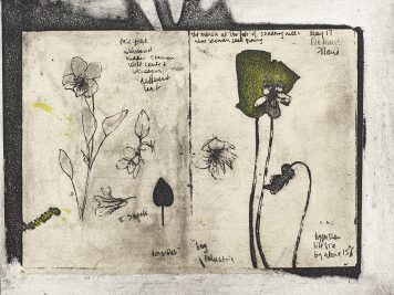 Drawn from Nature, Violet Bog Palustus