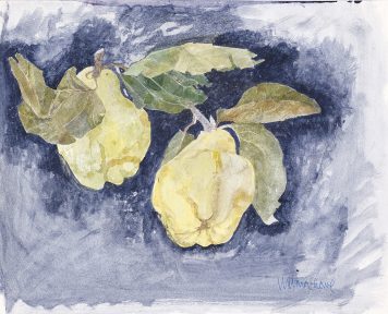 Green Quinces (Painted in Venice)