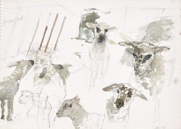 Lambing Studies II