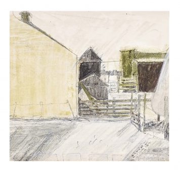 Sheds, Fences, Kittleyknowe