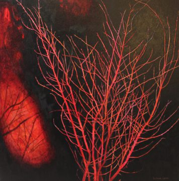 Illumine, Coral Bark Maple