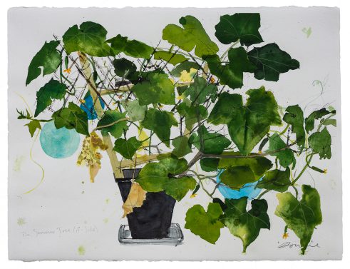The Summer Vine (A-side)