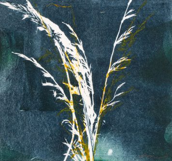 Summer Grasses VII