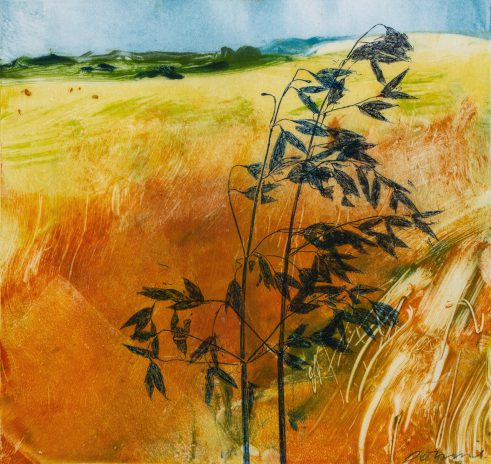 Summer Grasses VIII