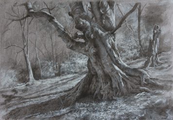 Tree Study (Spring)