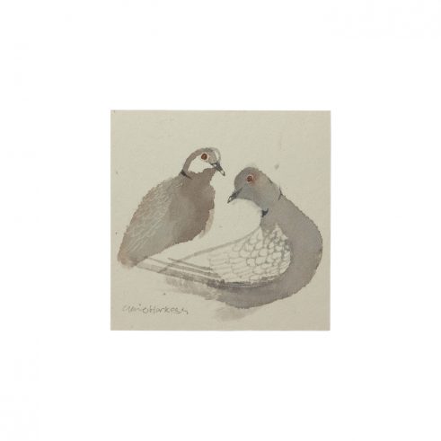 Double Dove