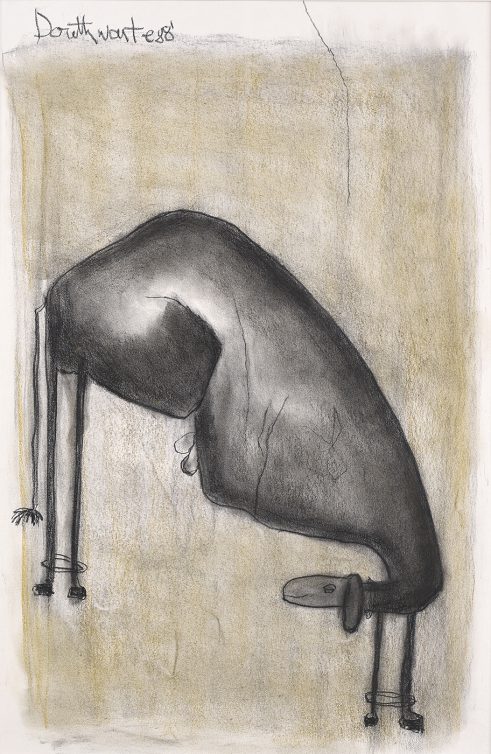 Dog with Rings on Legs