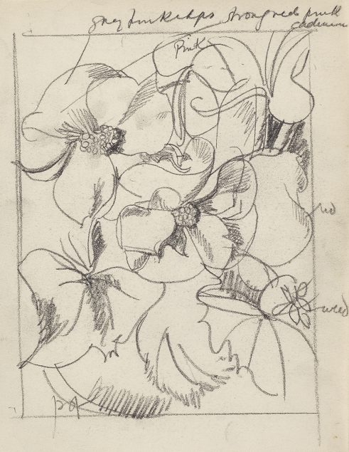 Flower Study