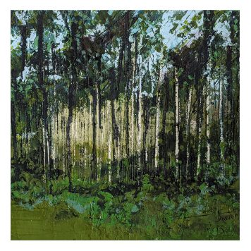 Light through the Trees