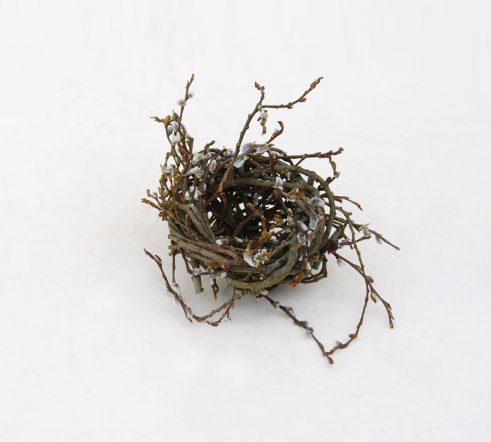 Medium Catkin Nest
