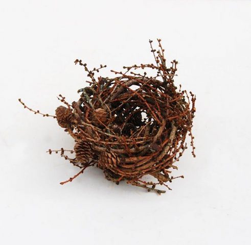 Extra Large Larch Nest