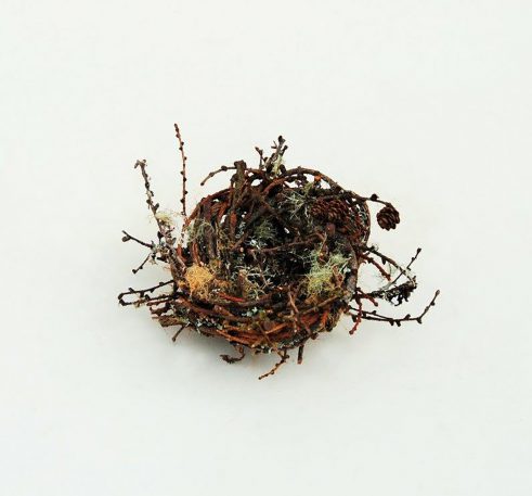 Large Larch and Lichen Nest