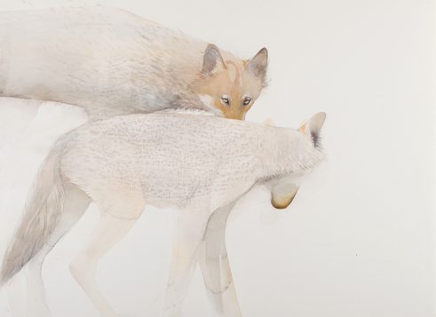 Portrait of the Pack III