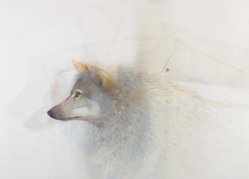 Hunting Pack
