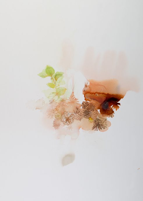 Red Squirrel and Hazel Leaf
