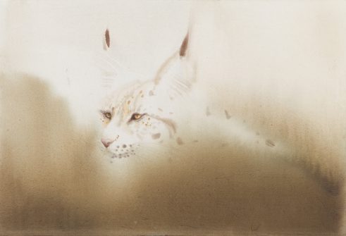 Lynx Portrait III