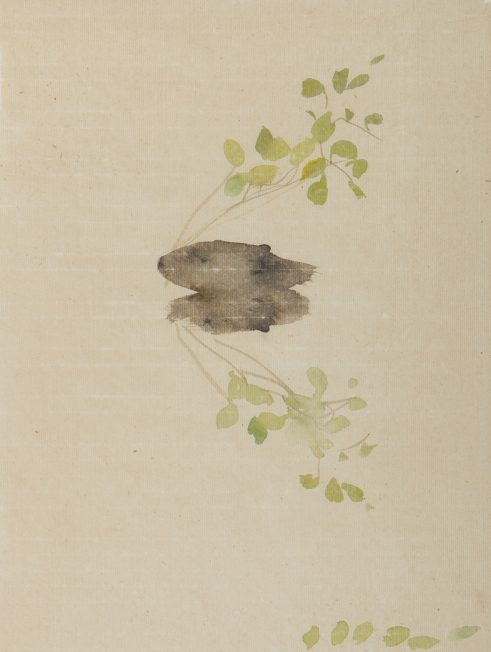 Beaver: Lost mid-18th Century, Officially Re-introduced 2009