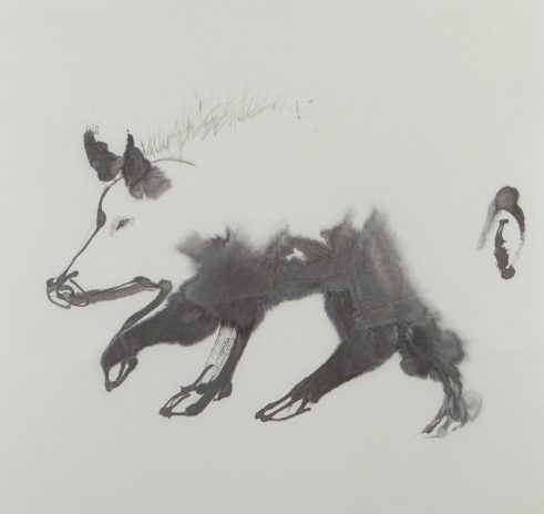 Boar Study III