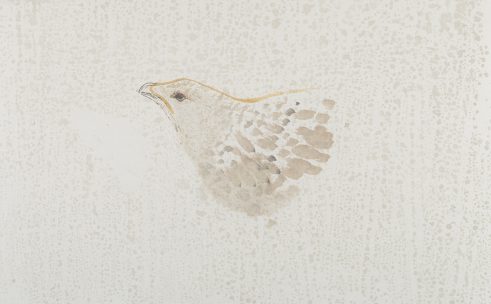 Female Caper III